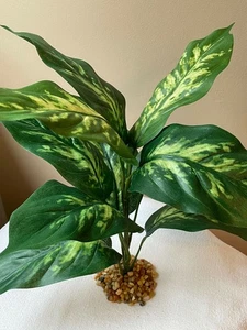 14" Large 10-LEAF Spotted DIEFFENBACHIA Silk Variegated Shade Goldfish & Betta-s - Picture 1 of 5