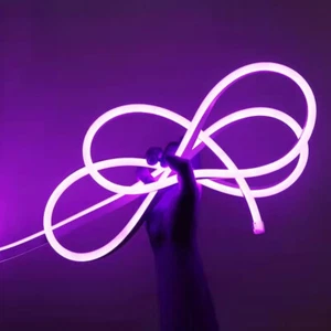 32.8ft 12V LED Neon Rope Strip Lights Waterproof Home x-mas Party Floor Decor US - Picture 1 of 17