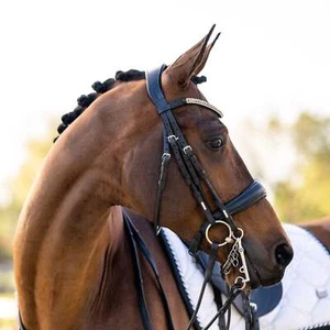 'Madeline' Luxury Leather Bridle - (Double) - Picture 1 of 15