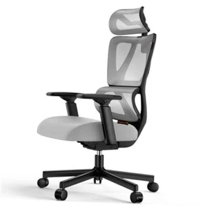 Ergonomic Office Chair with 30% Thicker Saddle Shaped Spring Cushion, Grey - Picture 1 of 7