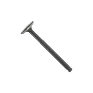 Exhaust Engine Exhaust Valve 152QMI GY7 125ccm 4Takt Motorcycle Scooter - Picture 1 of 1
