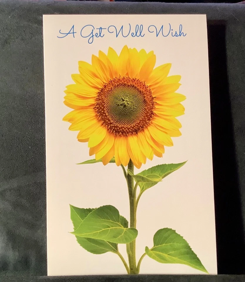 Get Well Soon Greeting Card Beautiful Big Sunflower Healing Thoughts - Image 1 of 4