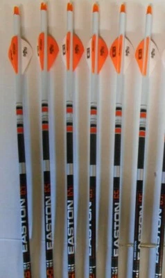 6 Easton 6.5 Hunter Classic 300 Carbon Arrows Custom Dip/Crest & Blazer Vanes - Image 1 of 3