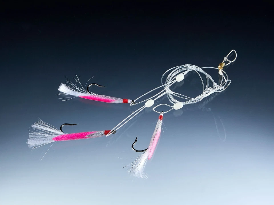 Balzer Edition 71° North Dorsch & Köhler System - Pilksystem Pink - Bild 1 von 1