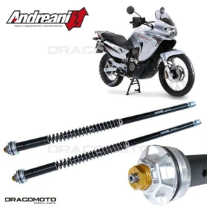 HONDA XL 650 V Transalp 2000-2007 cartuccia ANDREANI 105/H61E MISANO EVO - Imagen 1 de 5
