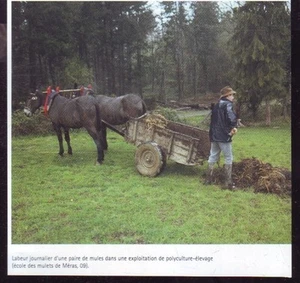 2003 -- TAGESARBEIT PAAR PANTOLETTEN MERAS ARIEGE U305 - Bild 1 von 1