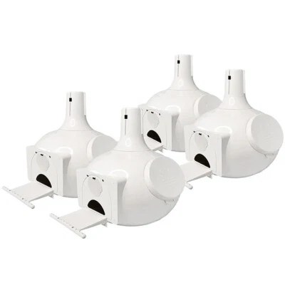 S&K Bo Eleven Plus Calabaza Martin Púrpura B011P Paquete de 4 Foto 1 de 4