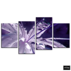 Blumen BOTANISCH Floral KISTE GERAHMT LEINWAND KUNST Bild HDR 280 g/m² - Bild 1 von 1