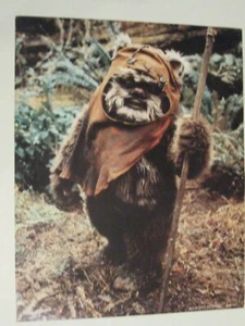 Imagen LFL de colección 1983 de WICKET W. WARRICK EWOK El Retorno del Jedi - Imagen 1 de 1