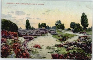 Lutterloh Wachholderlandschaft - Bild 1 von 2