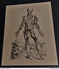 Buvard laboratoire Durabolin anatomie écorché XII