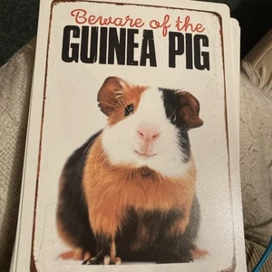 "Beware Of The Guinea Pig " Pet Signs Plastic, New - Picture 1 of 1