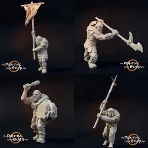 Orco Comando Escuadrón Torr Mislar - 28mm Tabletop SDLA D&D Pathfinder DSA - Imagen 1 de 5