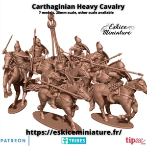 Ancient Carthaginian Heavy Cavalry Set (3D PRINTED) - Picture 1 of 3