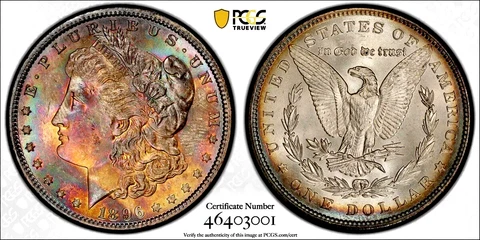 1896-P Morgan Dollar PCGS MS64 Vivid Fuchsia Orange Teal Rainbow Toned W/Video Cover