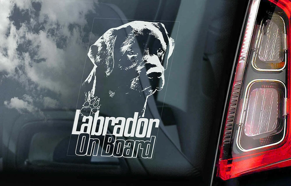 STICKER INTERNATIONAL LABRADOR Adesivo Auto, Cane a Bordo Nero Laboratorio Retriever Finestra Cartello Paraurti - V07