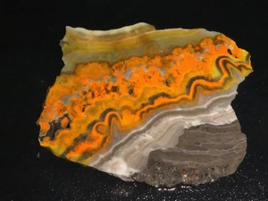 Jaspe abejorro (losa 5 1/2" x 4 3/4"-- cable áspero--pantalla - Imagen 1 de 3