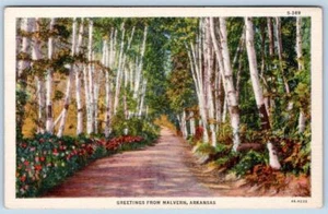 CARTOLINA DI LINO ANNI '30 SALUTI DAI BOSCHI DI MALVERN ARKANSAS VINTAGE LAGHETTO CURT - Foto 1 di 2