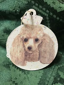 Handpainted Christmas Ornament - Picture 1 of 1