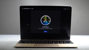 Appple MacBook Retina 12" A1534 2016 LCD Screen Assembly-GOLD - Picture 1 of 10