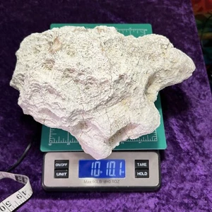 Large Geode Fossil 9-1/2" Quartz Crystal Chalcedony Uncut Whole 10Lb + Unopened - Picture 1 of 11