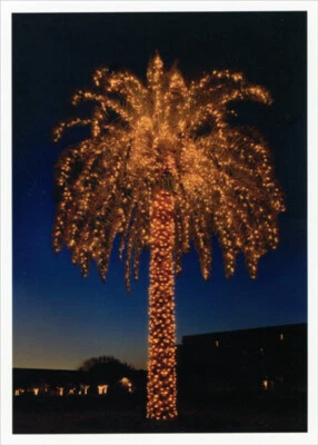 Luces de palmera nocturnas clima cálido/caja tropical de 10 tarjetas de Navidad Foto 1 de 2