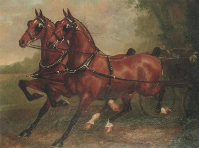 Postal de caballo Champion Tandem Team "Hopwood Spark" y "Hopwood Horace" 4X6. Foto 1 de 2