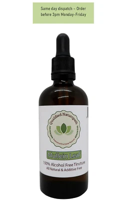 QUALIFIED NATUROPATH 110ml - Mullein Leaf Herbal Tincture (Alcohol & Glycerin Free) – Glass Bottle