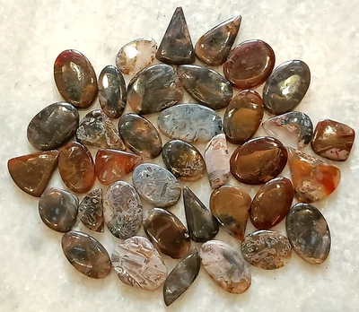 Lote de piedras preciosas sueltas de ágata en palo de pavo natural, venta al por mayor ágata en palo de pavo Foto 1 de 4