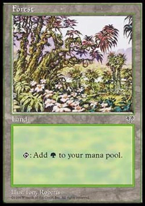 Forest D - Medium Play MTG Mirage - Image 1 of 1