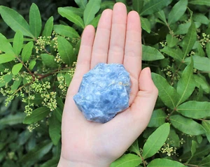 LARGE Rough Blue Calcite Natural Chunk, 2" - 3" (Premium Quality 'A' Grade) - Picture 1 of 8