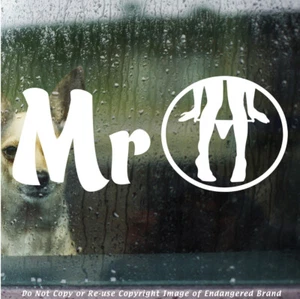 Panty Dropper MR Panty Dropper Sexy Girls Boost JDM Car Truck Sticker Decal - Picture 1 of 10