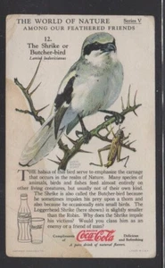 USA- CocaCola "Wonderful World of Nature" Series V #12 Shrike or Butcher Bird - Picture 1 of 1