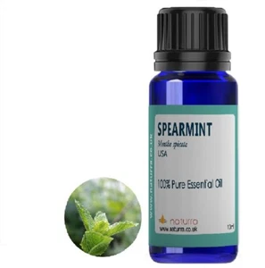 Spearmint (Mentha spicata) 100% Pure Essential Oil  5ml  10ml  20ml - Picture 1 of 2