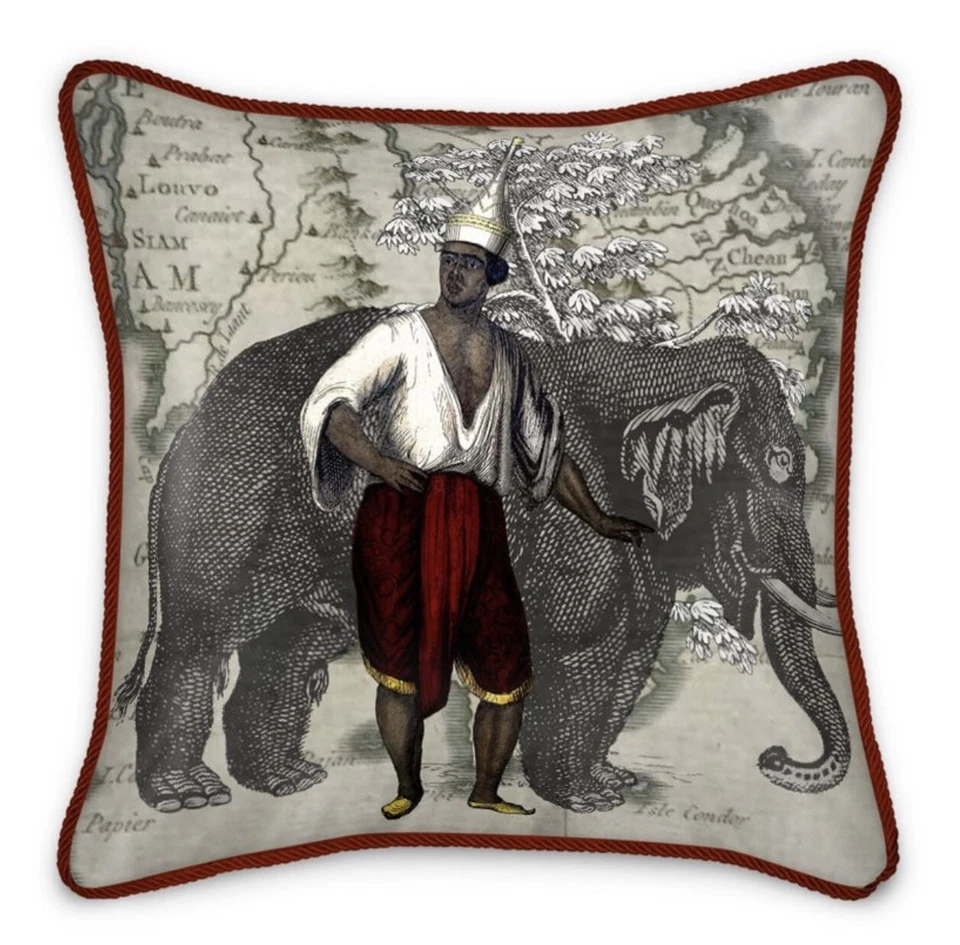 亚洲泰国暹罗/大象丝绸枕头 — 第 1/1 张图片