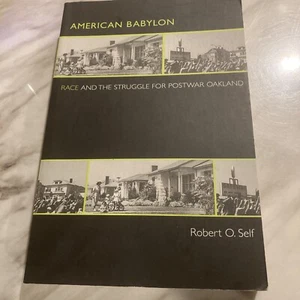 Politik und Gesellschaft im modernen Amerika Ser.: Amerikanisches Babylon: Rasse und die... - Bild 1 von 2