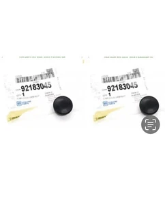 NOS 1 Pair GM Pontiac G8 Caprice PPV Chevy SS FRONT LEFT/RIGHT WIPER ARM NUT CAP - Picture 1 of 11