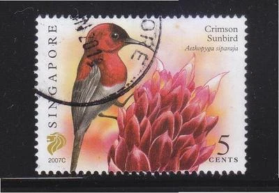 SINGAPORE 2007 CRIMSON SUNBIRD $0.05 2ND RE-PRINT (2007C) 1 STAMP IN FINE USED - Image 1 of 4