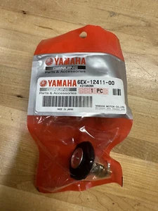 Yamaha OEM 6EK-12411-00-00 - Thermostat - Brand New- Fast Shipping - Bild 1 von 1
