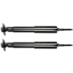 Front Pair Struts Shocks Absorber For 1997-02 Ford Expedition Left Right - Picture 1 of 9