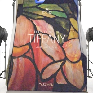 Louis Comfort Tiffany Jacob Baal Teshuva 2004 Illustrated PB B220 - Imagen 1 de 2