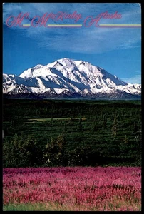 Vintage Mt. McKinley Alaska Postcard Denali National Park Scenic View - Picture 1 of 2
