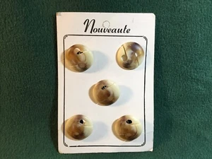 Vintage 5 Nouveaute Shell Buttons Shank Back 1” - Picture 1 of 1