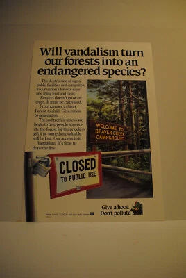 Póster de búho leñoso Will Vandalism convertirá nuestro bosque en una especie en peligro de extinción Foto 1 de 4