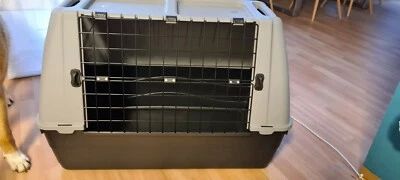 Hundebox auto  - Bild 1 von 2