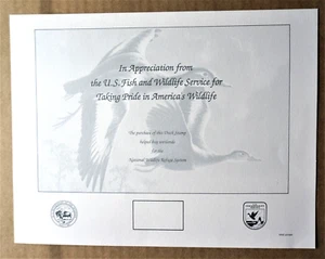 Tarjeta de recuerdo Black-Bellied Whistling Ducks 1990 #36, RW57 - Imagen 1 de 2