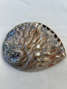 Abalone poliert, Abalone, Abalone Muschel, Räucherschale, Muschel - ca. 13cm - Bild 1 von 7