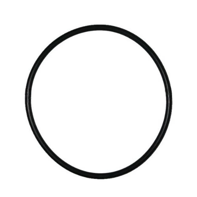 Repuesto de junta tórica de cubierta de filtro Hayward SPX4000S para bomba Hayward Northstar Foto 1 de 1