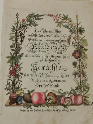 DRUCK FARBRADIERUNG PFLANZEN UND GEWÄCHSE 1806 - Bild 1 von 4