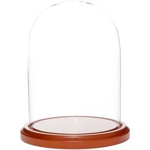 Plymor 5.5" x 8" Glass Display Dome Cloche (Walnut MDF Base) - Picture 1 of 3